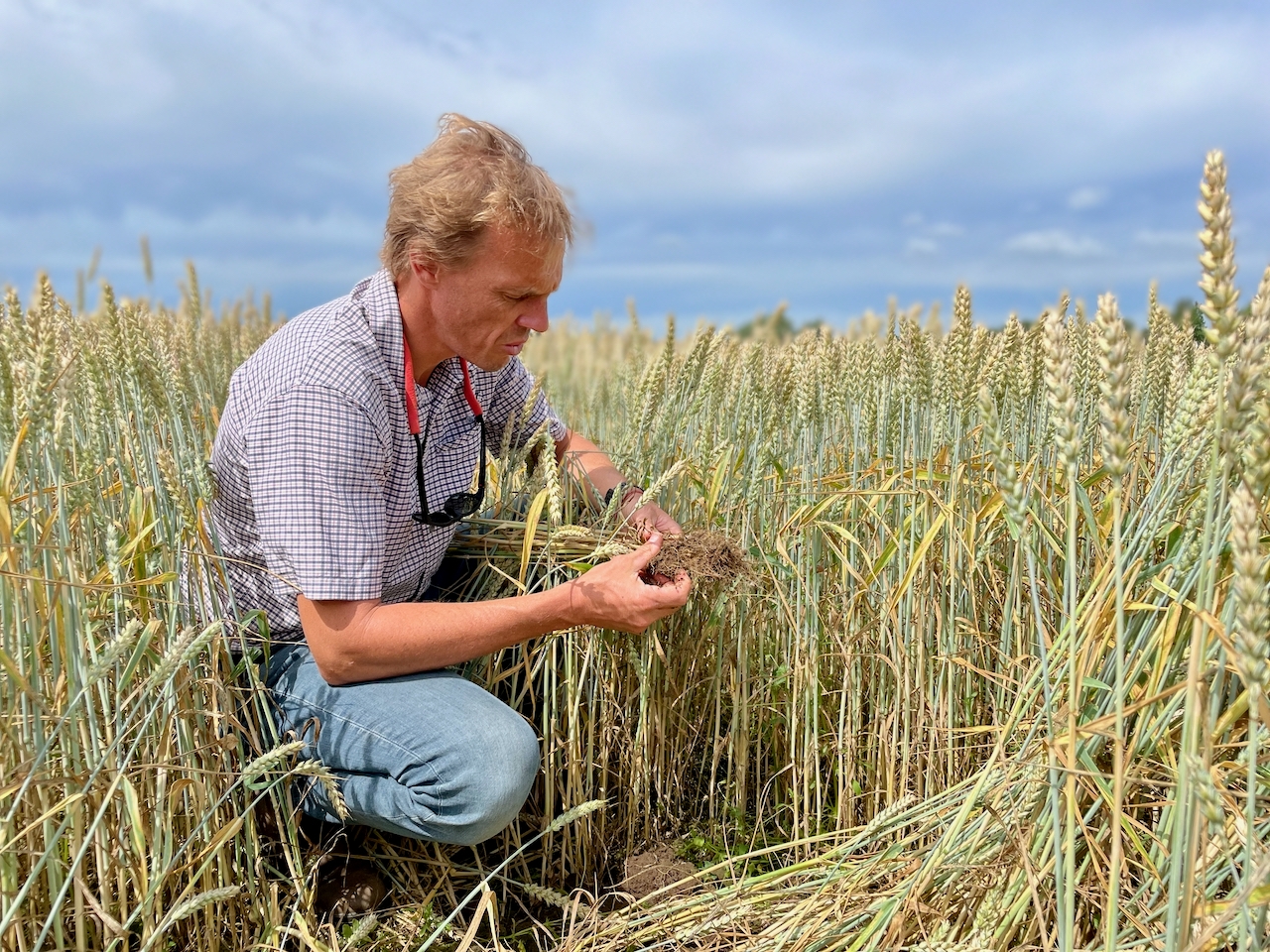 Farmland Management in Belgium